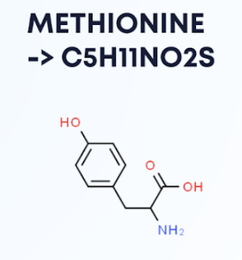 chem-22