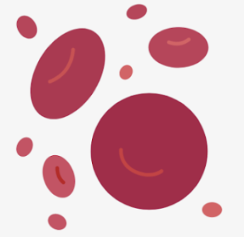 Blood Cells