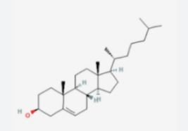 Cholesterol