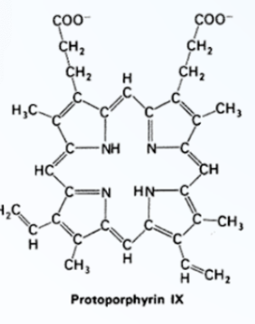 Hemoglobin