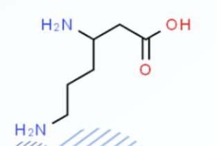 Lysine