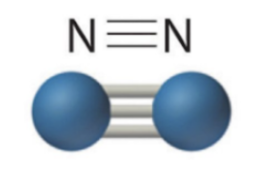 Nitrogen