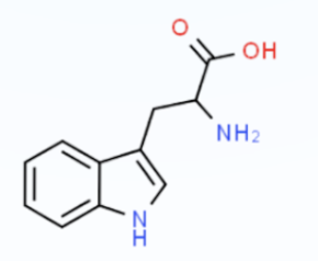 Tryptophan